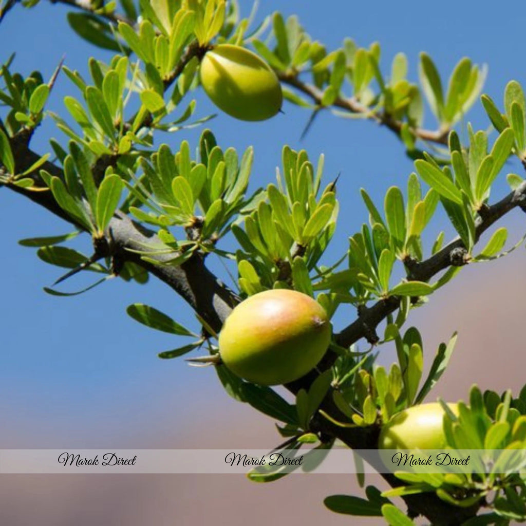 Argan Oil Moroccan 100% Pure Organic Hair Skin Body AntiAgeing Dryness Treatment