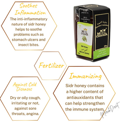 Pure Organic Raw Honey Wildflower Moroccan Unfiltered Unprocessed New Harvest