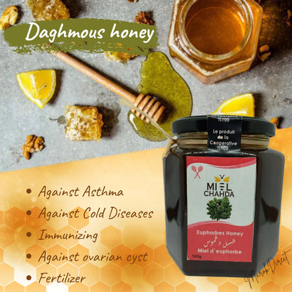 Pure Organic Raw Honey Wildflower Moroccan Unfiltered Unprocessed New Harvest
