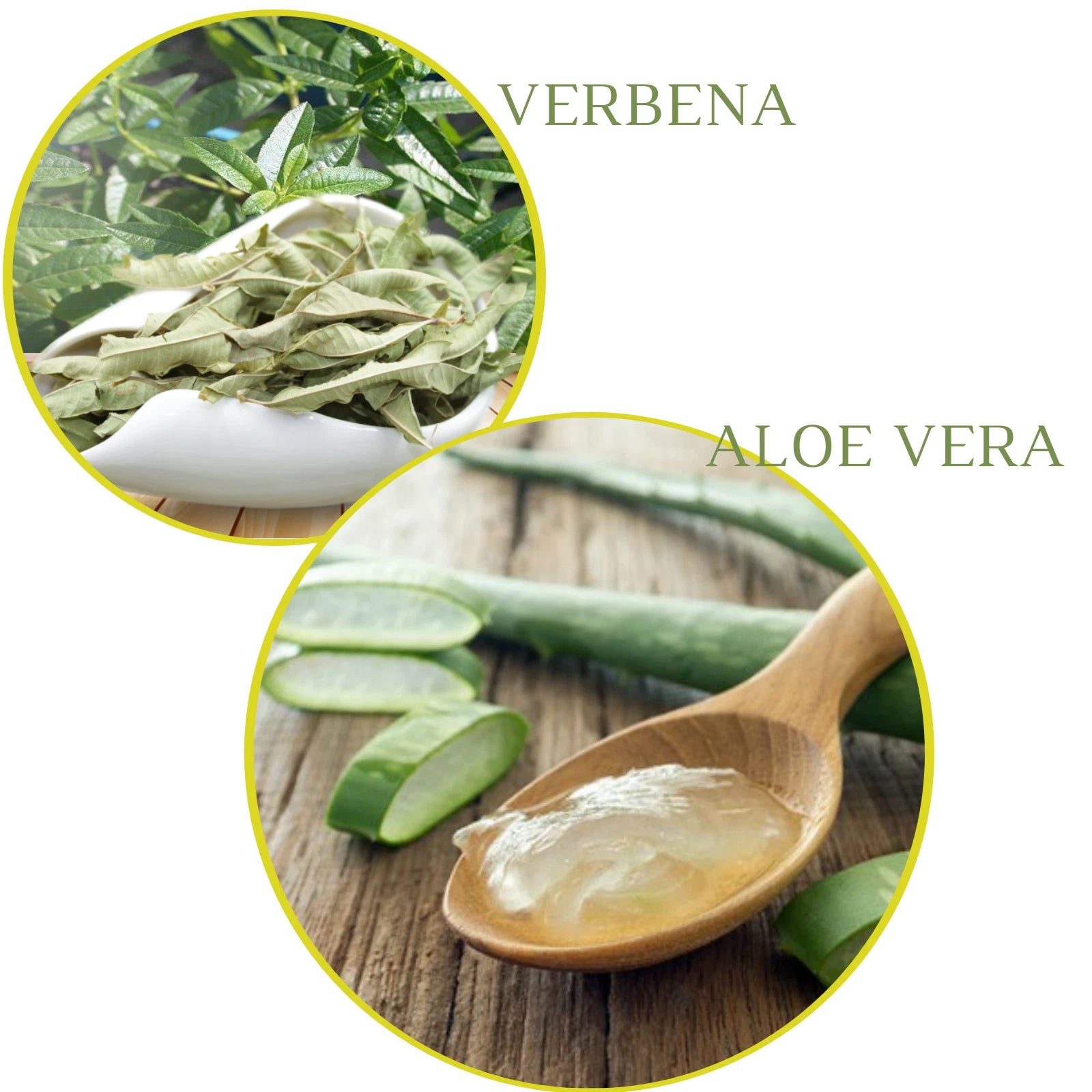 Moroccan Clay White Kaolin Organic Aloe Vera Verbena Rhassoul Face Mask Hair